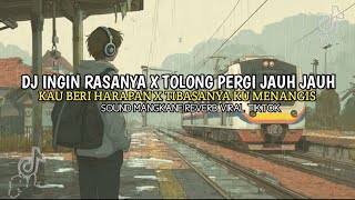 Download lagu DJ SAD INGIN RASANYA X SA PAMIT X TOLONG PERGI JAUH JAUH | MANGKANE REVERB VIRALTIKTOK - WISNU FVNKY mp3