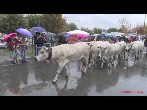 2^PARTE : TRANSUMANZA PER LA FIERA DI S. LUCA A DEMONTE (CN) DOM.  9 - 10 - 2022.