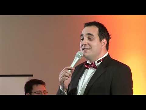 Koncert Milosa Radovica