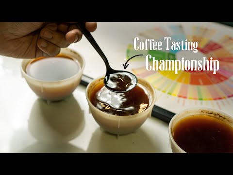 WHAT THE CUP - Coffee Tasting Championship!