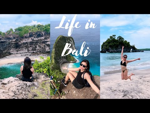 What It's Like Living in Bali, Canggu | Lifestyle, Apps, Food, People