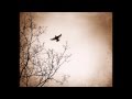 Ashley Dionne - I'll Fly Away 