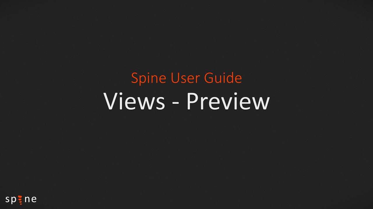 Spine Editor Guide - Views (Preview)