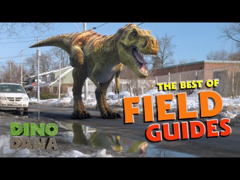 Best of Dino Dan, Trek's Adventures and Dino Dana Field Guides