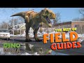 Best Of Dino Dan Trek S Adventures And Dino Dana Field Guides