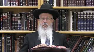 הגאון הרב אברהם יוסף שליט"א מה הם סדר המצוות של חג הפורים בירושלים תשפ"ה (הערוץ של הרב אברהם יוסף) - התמונה מוצגת ישירות מתוך אתר האינטרנט יוטיוב. זכויות היוצרים בתמונה שייכות ליוצרה. קישור קרדיט למקור התוכן נמצא בתוך דף הסרטון