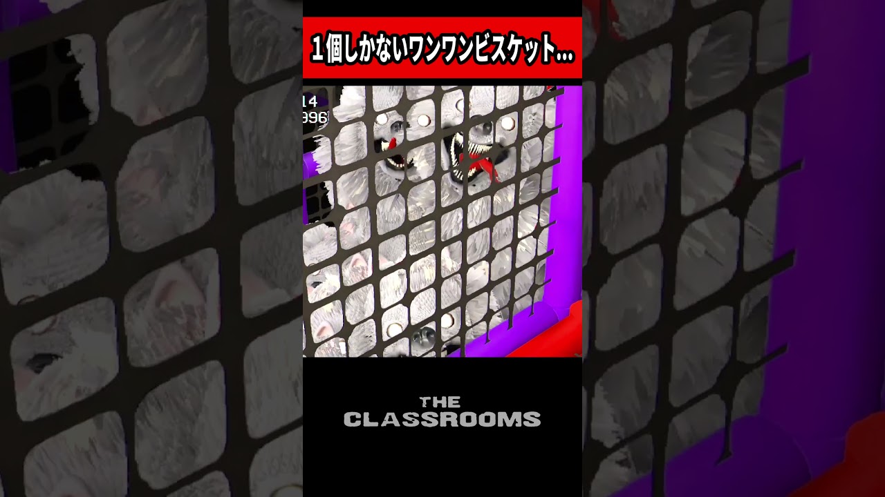 ワンワンビスケットをどれくらいあれば... #shorts