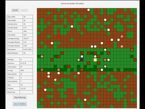 Evolution Simulation Java Project