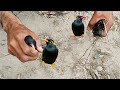 The Best Way to Trap and Release a Hill Myna