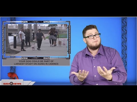 Your dog could be part of largest study on aging in canines (ASL - 11.15.19)