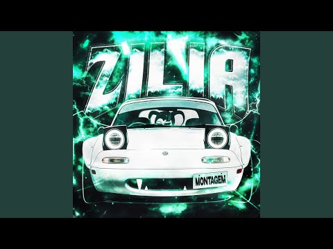 MONTAGEM ZILIA (Slowed)