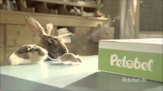 Petobel TV-Spot song - Up and Away