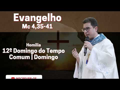12º Domingo do Tempo Comum | Homilia Dominical | 23/06/2024