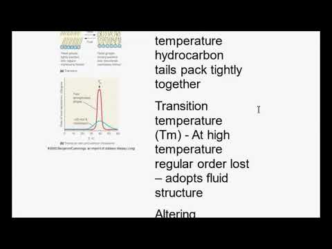 Wykład 1. Wstęp do biofizyki w kosmetologii