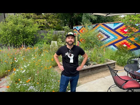 Jeb’s Super Stylish NATIVE Garden Tour! :: Dig, Plant, Water, Repeat Garden Tour