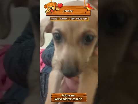 Vídeo de Jerlane 