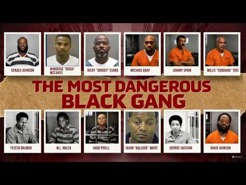The Most Dangerous Black Gang That Even FBI Couldn't Stop
