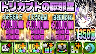 【パズドラ】トリカブトの厭邪霊ディーノ！能力調整！一撃１３５０億！2体ループ！日向×ディーノループ！ラングローサ降臨！