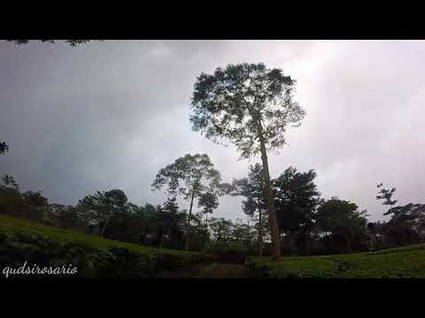 Esc oneshot in action🤣