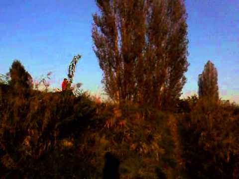 vespa freestyle cross 1