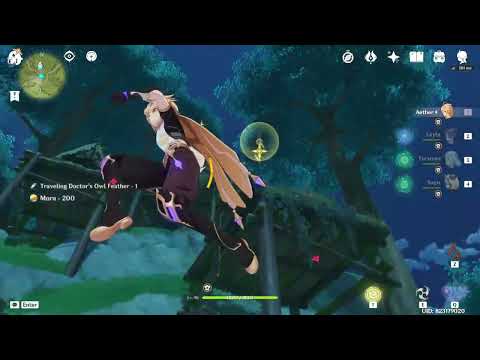 [Sumeru Adventures] Traveler traverses Sumeru with Layla, Faruzan and Sayu (Day 126)