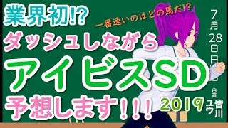【競馬予想】アイビスサマーダッシュ 2019 予想 やはり外枠逃げ先行馬が有利なのか!?穴馬はどいつだ!?