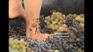 Klaige Makes Content