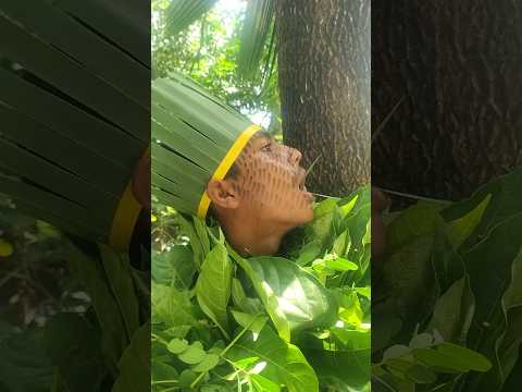 Bird calls #entertainment #shorts #nature #birdsounds #hridoy_r43 #jungle