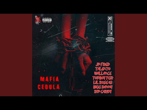 Mafia Cédula