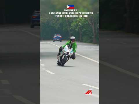 Fast Delivery Kawasaki Ninja ZX10RR Flyby + Cornering #shorts #motorcycle #bigbike #sportbike #zx10r
