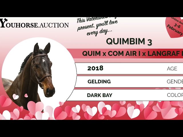 Quimbim homevideo