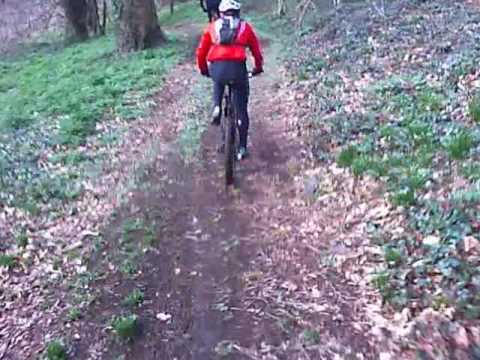 Carryduff/Belvoir 270310