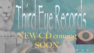 Third EYE Records promo - AMBER AMBROSIA