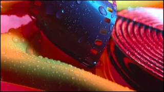 張惠妹/張雨生 - 最愛的人傷我最深/A-Mei/Thomas Chang - My Beloved Sweetheart Hurt Me the Most