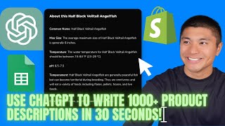 GPT for Sheets: How I Used Chat GPT & Google Sheets to Write 1000+ Product Description