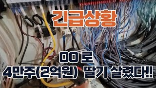 스마트팜 긴급상황!!