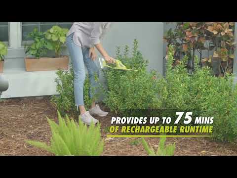 Sun Joe 24V-SSEG-LTE 24-Volt Cordless Handheld S Gadget/Amazon Product