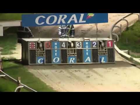 Magical Ezra - CORAL OLYMPIC TRIAL STAKE TRIPLICATED