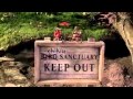 Chicken Run Ending Short