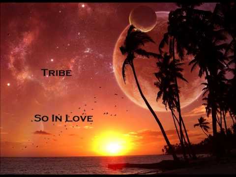 Tribe - So In Love