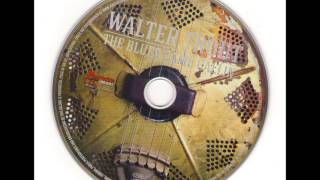 Walter Trout  2014 The World is Goin ' Crazy (and so am I)