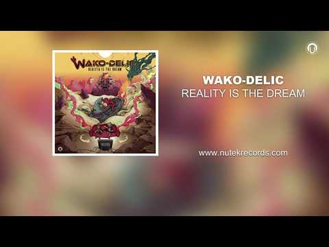 Wako Delic - Reality Is The Dream