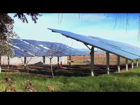 The evolution of the electricity supply industry - Consumers becoming producers