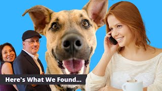Test Results Reveal How Dog Owners Prefer To Contact A Dog Trainer