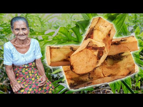 Lasia Spinosa Roots Curry with Coconut Milk
