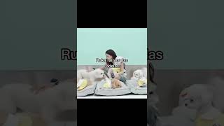 Download lagu dia si ibu dari anjing-anjing itu😂 #saya #babymonster #janganflop #fypシ #youtubeindonesia #kpop #... mp3