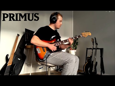 Primus - The Antipop [Bass Cover]