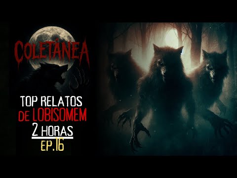 TOP RELATOS DE LOBISOMEM 2 HORAS    EP  16  COLETÂNEA