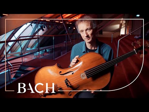 Cocset on the cello BWV 1010 | Netherlands Bach Society