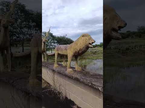 ''NOÉ É GOIANO!": CASAL ENCONTRA ARCA DE NOÉ "PERDIDA" EM HIDROLÂNDIA (GO)